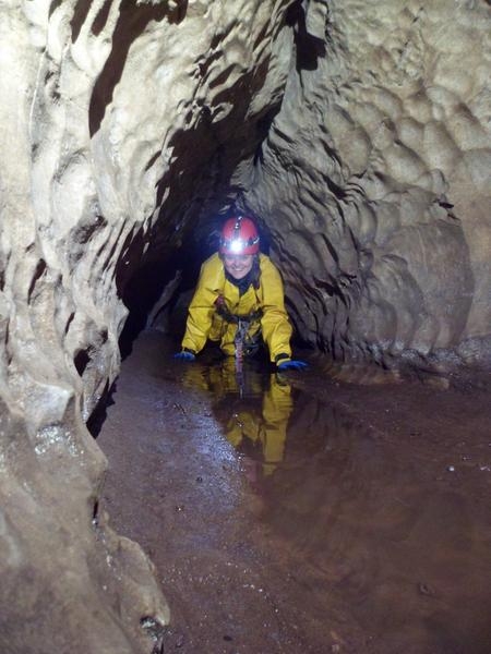 Thumbnail of photo from this article